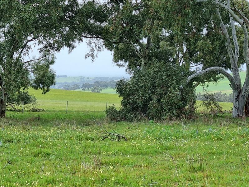 Lot 66,  Starbush Way, Ginginup