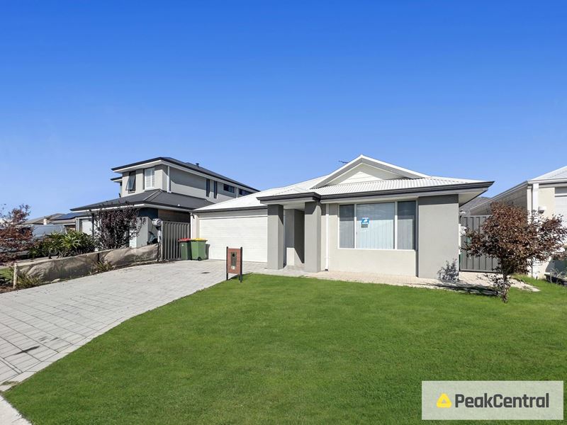 31 Massicot Road, Treeby WA 6164