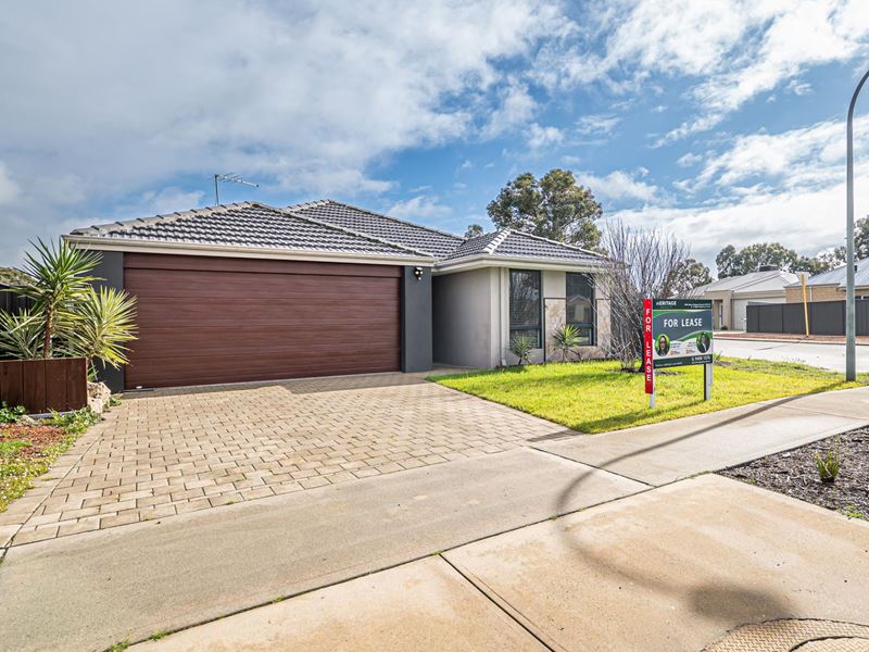 21 Narran Street, Hilbert WA 6112