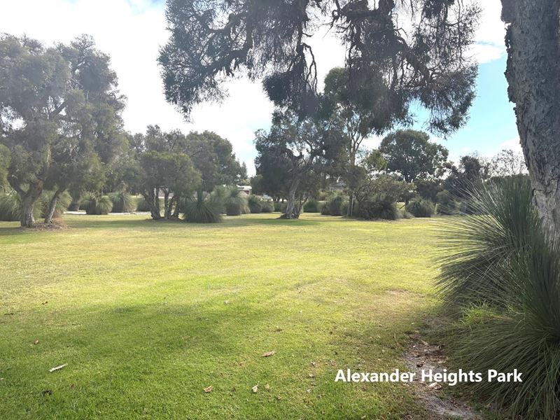 Alexander Heights WA 6064