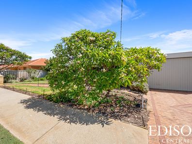 77 York Street, Tuart Hill WA 6060