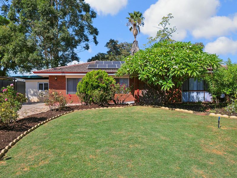 6 Napean Place, Armadale WA 6112