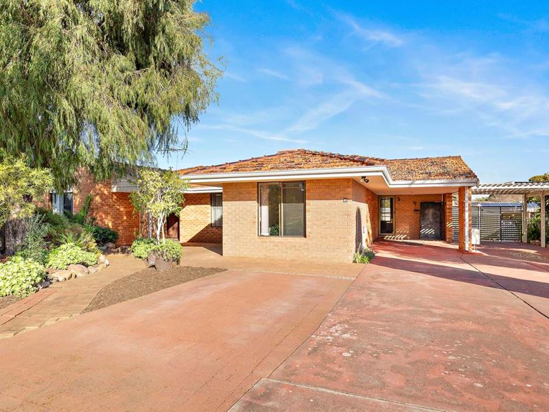 23 Mannion Way, Kardinya WA 6163