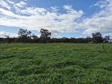 Lot 210 Sand Pits Road, Crooked Brook WA 6236