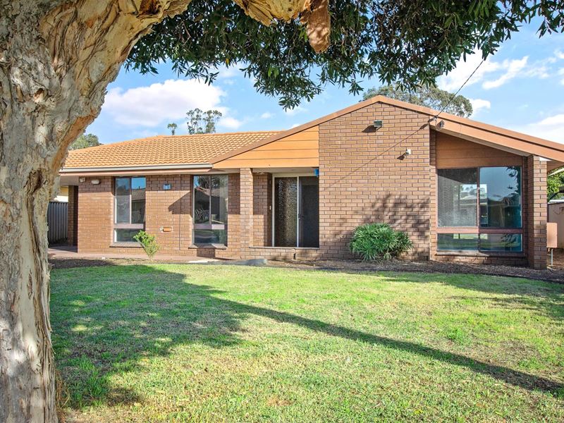 6 Coral Street, South Bunbury WA 6230