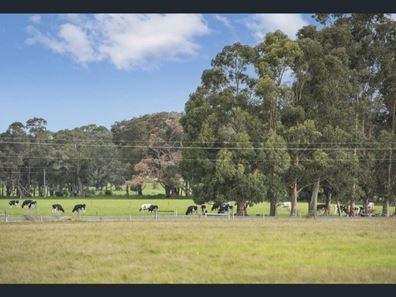 Industrial Lots Treeton Road, Cowaramup WA 6284