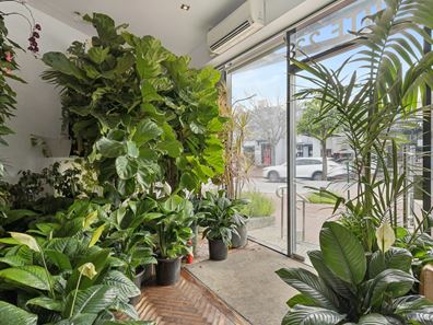 23/281 Hay Street, Subiaco WA 6008
