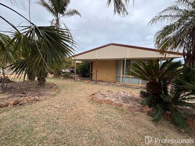 77 David Road, Waggrakine WA 6530