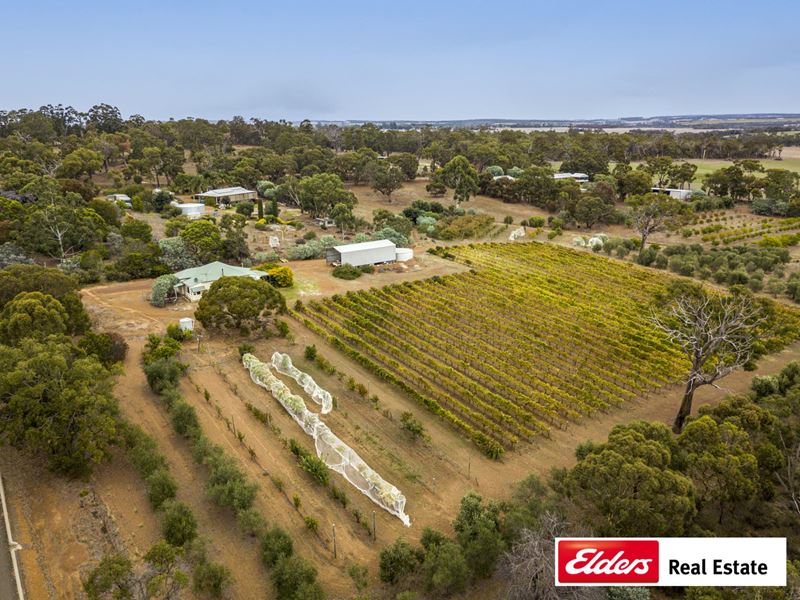 10 Herbert Street, Frankland River