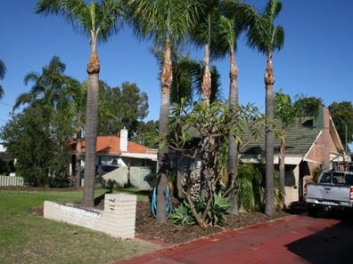 36 Hepburn Way, Balga WA 6061
