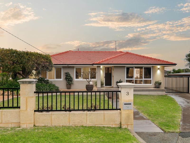 3 Hanlon Street, Hamilton Hill