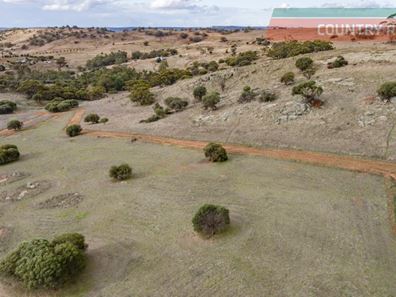 75 Nockdominie Road, Dumbarton, Toodyay WA 6566