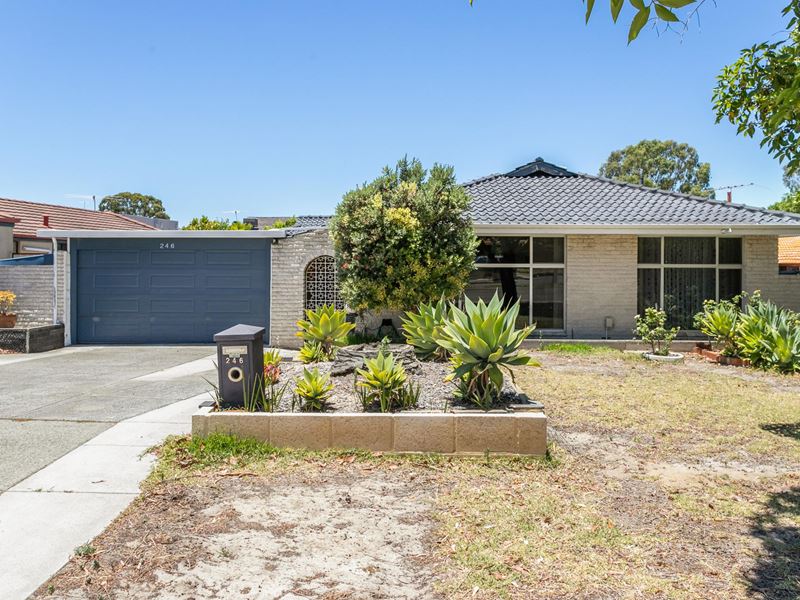 246 Riseley Street, Booragoon WA 6154