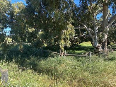 Lot 1914 Minnenooka Road, Minnenooka WA 6532