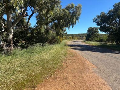 Lot 1914 Minnenooka Road, Minnenooka WA 6532