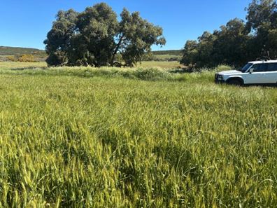 Lot 1914 Minnenooka Road, Minnenooka WA 6532