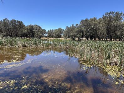 1863 Thomas Road, Oakford WA 6121