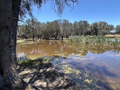 1863 Thomas Road, Oakford WA 6121