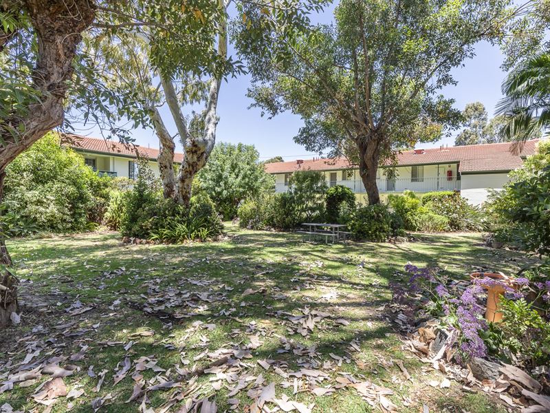 11/379 Hector Street, Yokine
