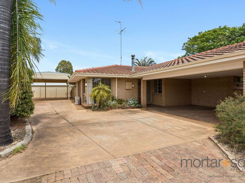 2/9 Spruce Ct, Halls Head