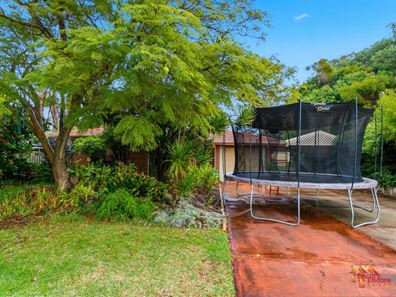 8 Raglan Close, Falcon WA 6210