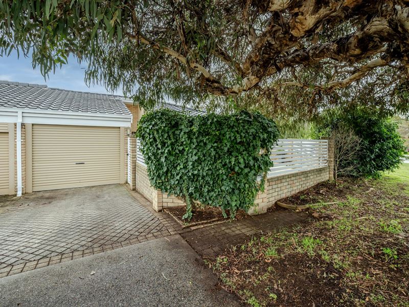 43A Spencer Avenue, Yokine WA 6060