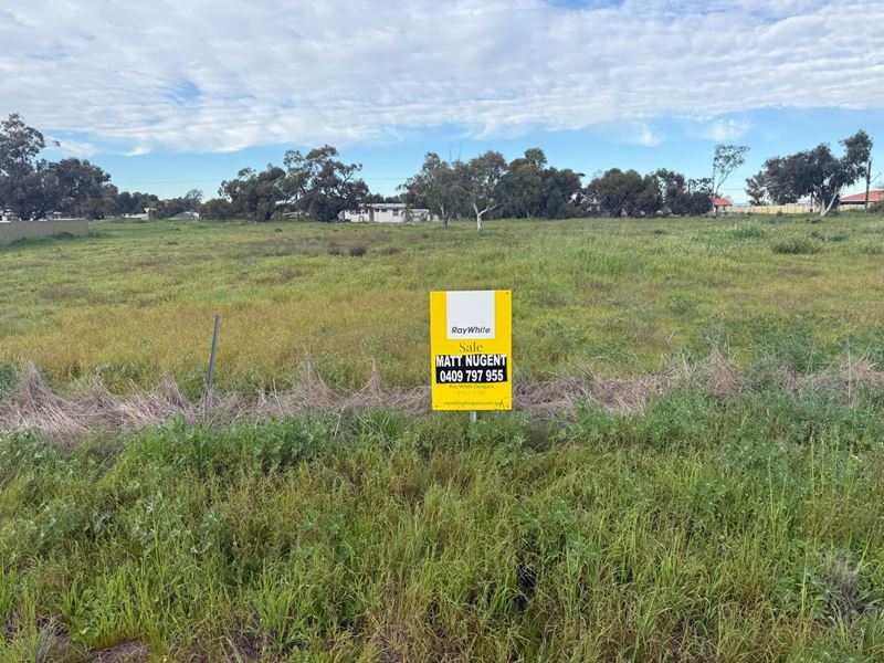 10 Field Street, Mingenew WA 6522