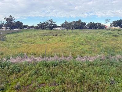10 Field Street, Mingenew WA 6522