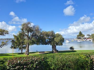 62 Irvine Street, Peppermint Grove WA 6011