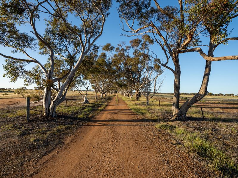 5566 Tieline Road, Gnowangerup WA 6335