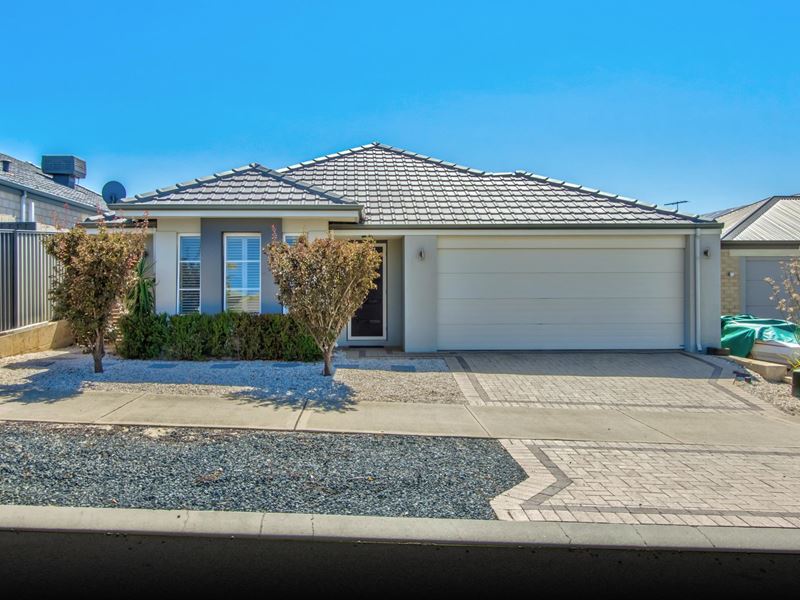 51 Rubens Cct, Baldivis WA 6171