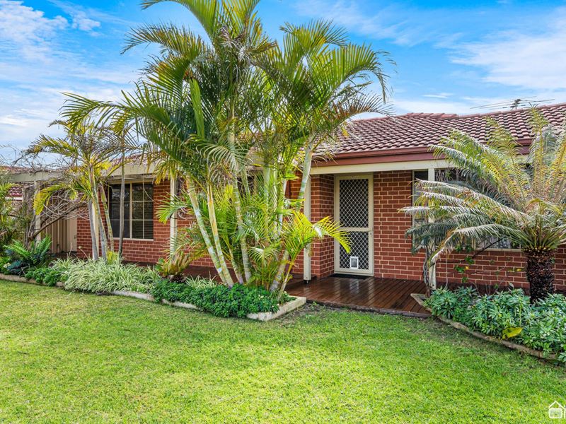 16 Cable Close, Seville Grove WA 6112