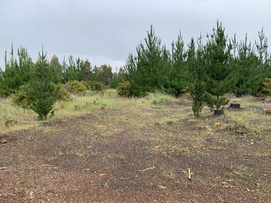 Lot 400 Beela Road, Beela WA 6224