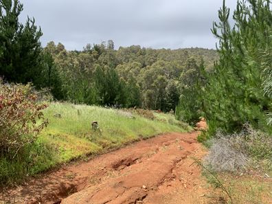 Lot 400 Beela Road, Beela WA 6224