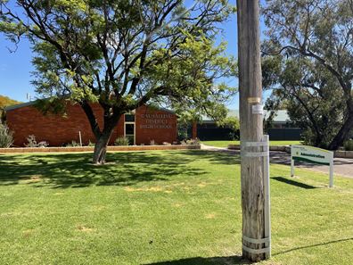 100 Johnston Street, Dalwallinu WA 6609
