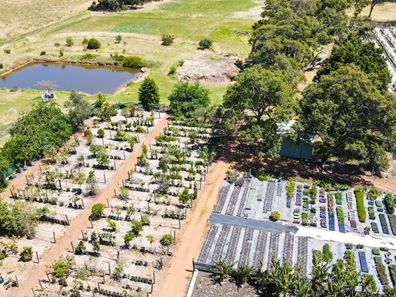 Home/Garden - Swan Valley Property Auction and or Nursery Business For Sale
