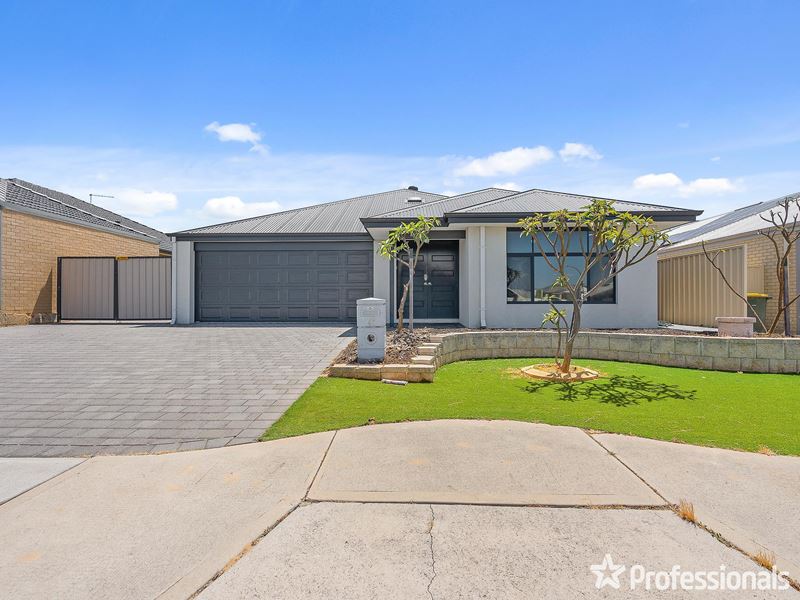 42 Fennell Crescent, Wattle Grove