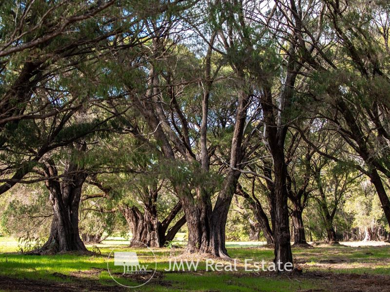 505 Gidgee Road, Witchcliffe