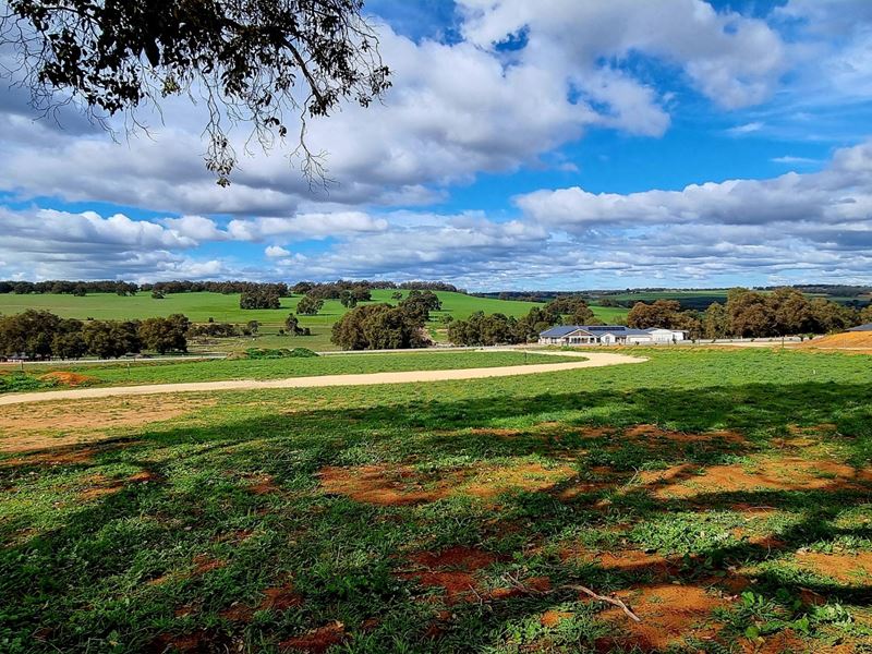 Lot 61,  Daviesia Fairway, Ginginup WA 6503