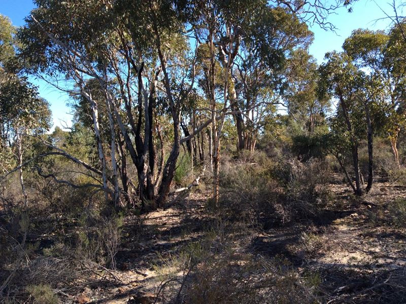 12 Hibbertia Place, Toodyay