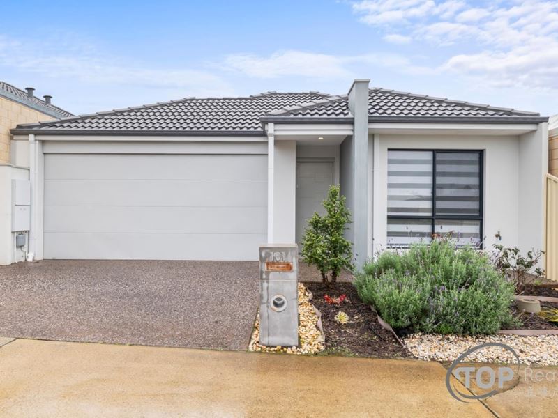 101 Sorbonne Turn, Aubin Grove WA 6164