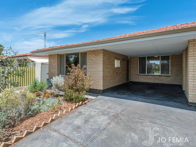 64B Wilkie Street, Stirling