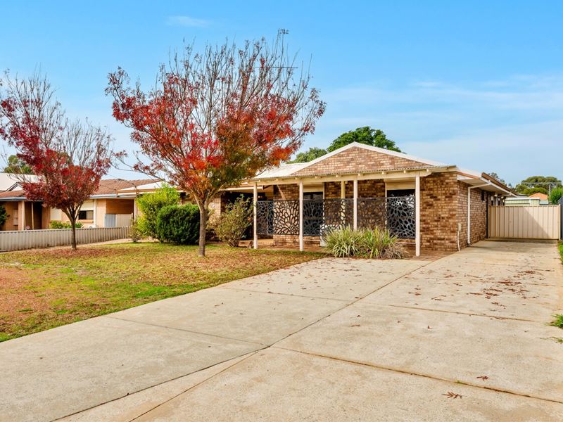 3 COLIN STREET, Pinjarra WA 6208