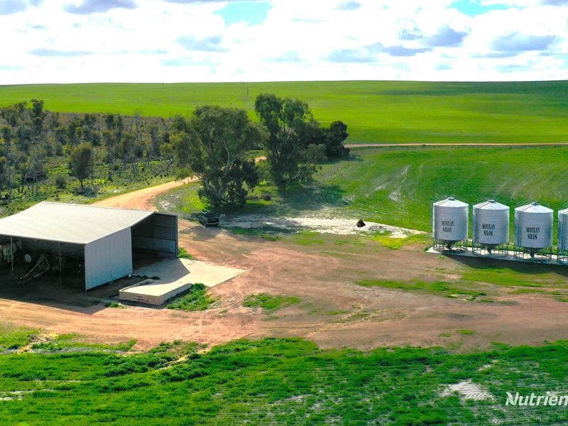. Andrina Farm, Warradarge WA 6518