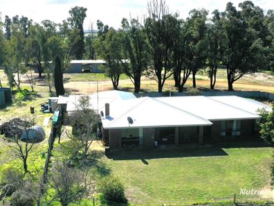 . Andrina Farm, Warradarge WA 6518