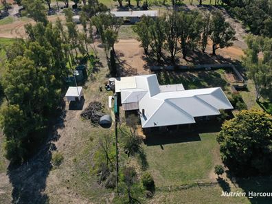 . Andrina Farm, Warradarge WA 6518
