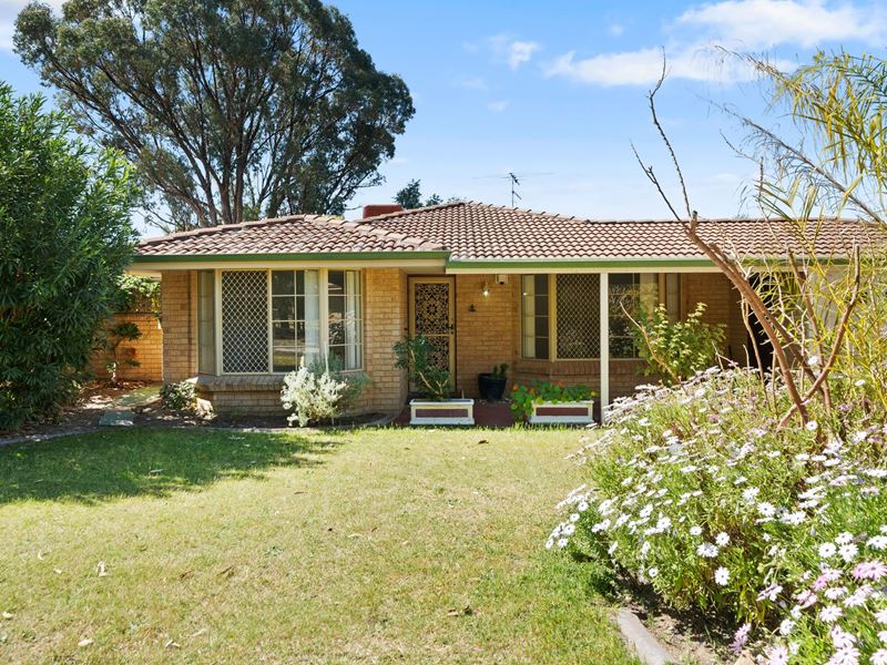 29 Misty Meander, Greenfields