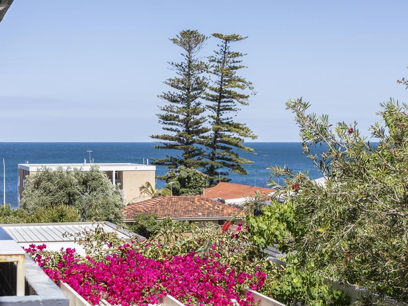 8/23 Avonmore Terrace, Cottesloe WA 6011