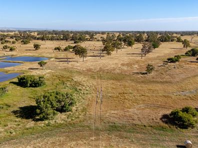 333 Greenlands Road, West Pinjarra WA 6208