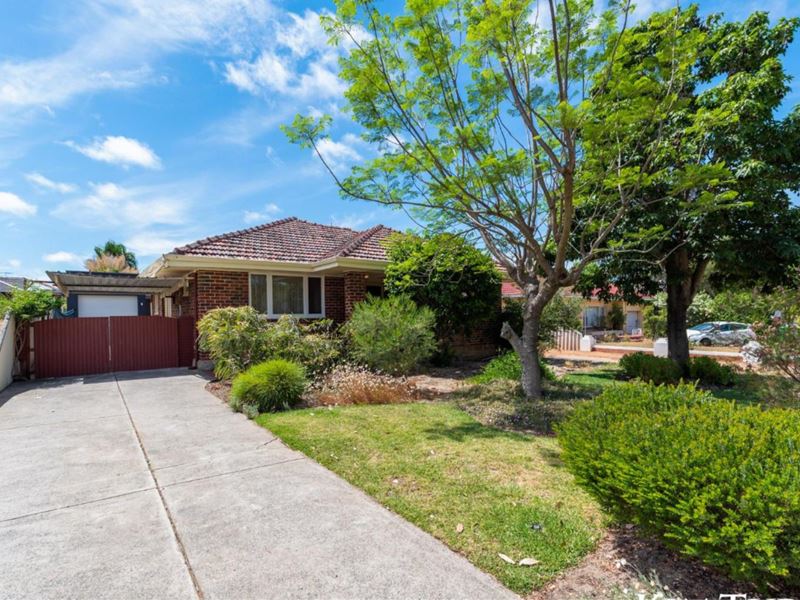 13 Wren Street, Mount Pleasant WA 6153